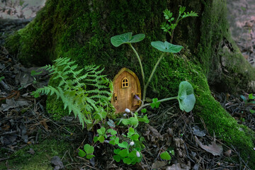 Little magic wooden fairy door and flowers in tree trunk, natural background. fairytale pixie or...