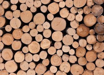Pile of hard wood log shows beautiful natural surface and texture of lumber under sunlight. It shows detail of wood surface in circle shape and brown color which is vintage background.