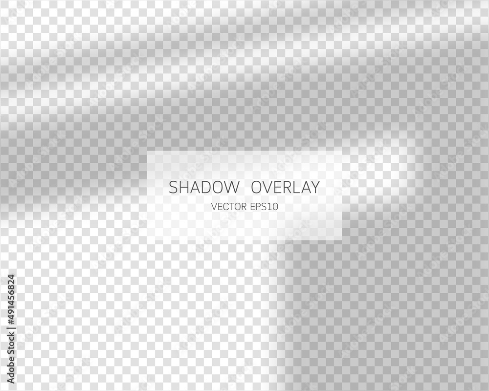 Poster shadow overlay effect. natural shadows from window isolated on transparent background. vector illust