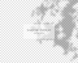 Shadow overlay effect. Natural shadows isolated on transparent background. Vector illustration. 
