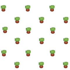 Echeveria cactus, succulent houseplant in a brown pot. Succulent. Seamless pattern. Cartoon. Vector illustration.