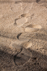 Fototapeta na wymiar Footprints on the sand beach
