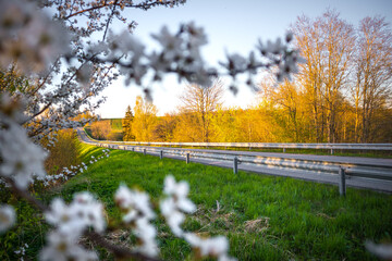 Beautiful spring landscape of rural area with asphalt road. Seasonal scenery of Northern Europe. - obrazy, fototapety, plakaty