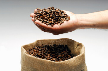farmer's hand holding a handful of roasted coffee beans on rustic coffee bag.
