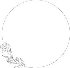 collection forest fern eucalyptus art foliage natural
leaves herbs in line style. Decorative beauty, elegant illustration 
Vector Flower Botanical