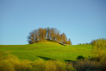 A beautiful spring landscape with a meadow on hillside. Seasonal scenery of Northern Europe.