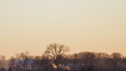 trees and houses against the sunset sky