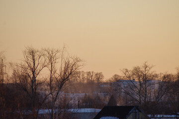 trees and houses against the sunset sky