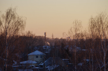 trees and houses against the sunset sky
