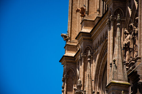 Detail of the Basilica of Lujan where the gargoyles can be seen, where the apostles can be seen. Luj&aacute;n, Buenos Aires, Argentina.