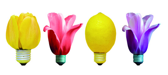 Template Set of plant Blossom tulip flowers and Yellow Ripe electrical lemon in the shape of electric bulb isolated on white. Ecology, thinking concept. Creative food health diet food background