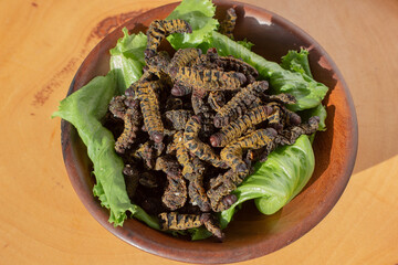 Stir fried edible insects of the species Cirina Forda and lettuce leaves