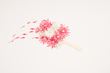 Flowers composition. Creative layout made of pink and white flowers and paint brush on white background. Flat lay, top view.