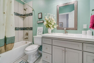 Home bathroom 
