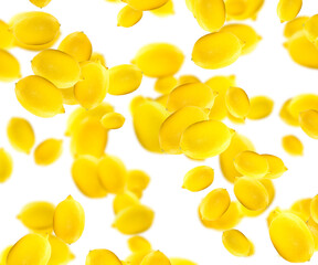 selective focus. blur. Juicy ripe flying yellow lemons on white background. creative food concept. Tropical organic fruit, citrus, vitamin C. Lemon slices. Summer fruit background. pattern. 