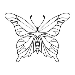 Butterfly outline hand drawing doodle. Vector illustration