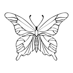 Butterfly outline hand drawing doodle. Vector illustration