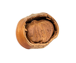 hazelnut, hazelnut partly shelled, isolated on white background