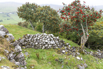 The ruins of a croft in Glen Uig in the north of the Isle of Skye, Highland, Scotland UK. - obrazy, fototapety, plakaty