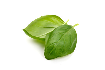 Organic basil leaves, isolated on white background.