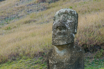 ancient moai of rapa nui