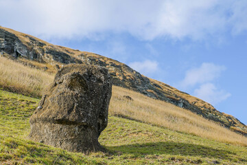 Fototapeta na wymiar moai of rapa nui