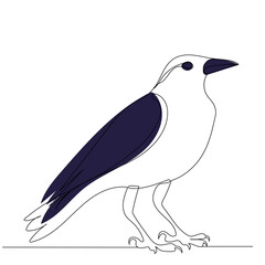 bird drawing in one continuous line, isolated vector