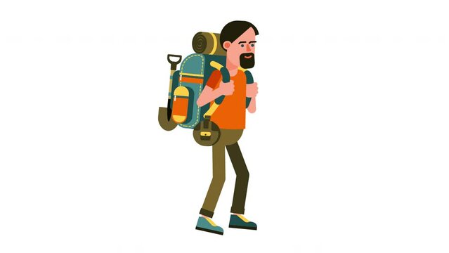 Hiker man with big tourist backpack. Cartoon man goes on hiking trip. Looped animation with alpha channel.