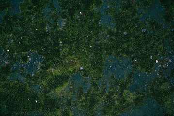 Texture of an old green dirty concrete wall as a background