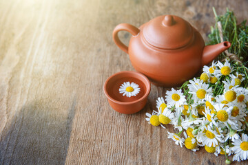 cup of herbal chamomile tea and daisy flowers. doctor treatment and prevention of immune concept,...