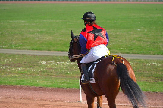 course de chevaux en trot mont&eacute;
