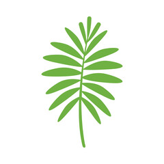 eenvoudige bladeren, blad grafische groene kleur