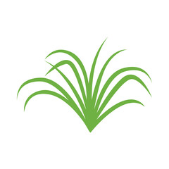 grass leaves, rice leaf graphic simple