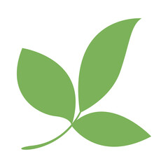 simple leaves, leaf graphic green color