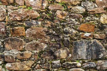 Close up view of an old stone wall covered in green moss.