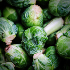 Green Brussels Sprouts Close-up