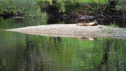 el canvio climático dejando al descubierto rocas y arenales de los ríos, mellid, la coruña, españa, europa