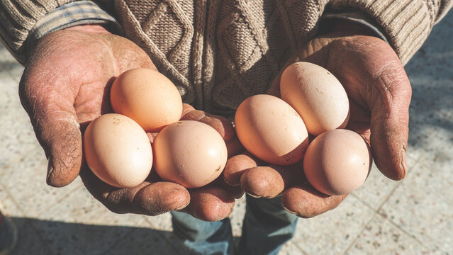 An old man is holding an egg and showing it. Natural product background.