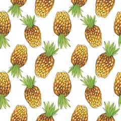 watercolor drawing fruit pineapple on a white background. Seamless pattern.