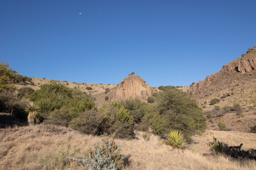 grand canyon state