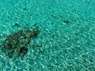 tropical maldives sea for background. Indian ocean