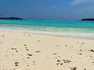 Fototapeta na wymiar Tropical Maldives sea with coral on blue background 