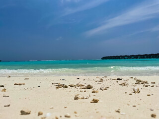 Tropical Maldives sea with coral on blue background 