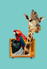 Collage zoo concept with cute animals coming out of vintage TV set