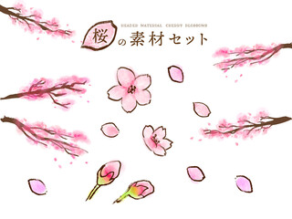 桜の手描き素材セット