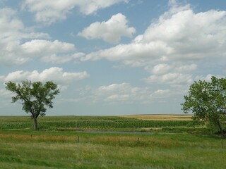 Fototapeta na wymiar Farmlands along US Highway 90 with two trees and a small pond..