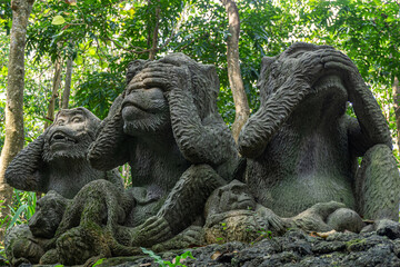 Fototapeta na wymiar Ubud, Bali
