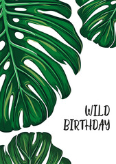 Monstera birthday card on white background. Modern exotic floral jungle greeting poster. Celebrate wild party. Green tropical palm leaves.
