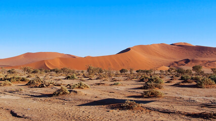 Fototapeta na wymiar Scenic view of desert dunes in the Namib Desert, Namibia
