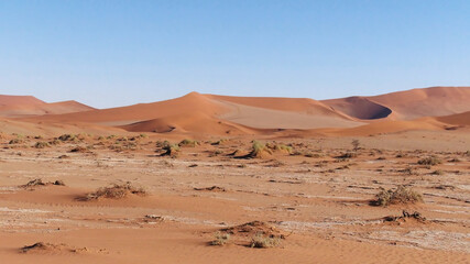 Fototapeta na wymiar Scenic view of desert dunes in the Namib Desert, Namibia